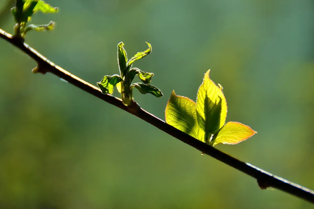 71 Prozent blicken voraus – warum Optimismus gerade jetzt keine Naivität ist