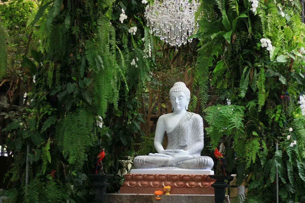 Siddhartha – Der Weg, den nur du gehen kannst